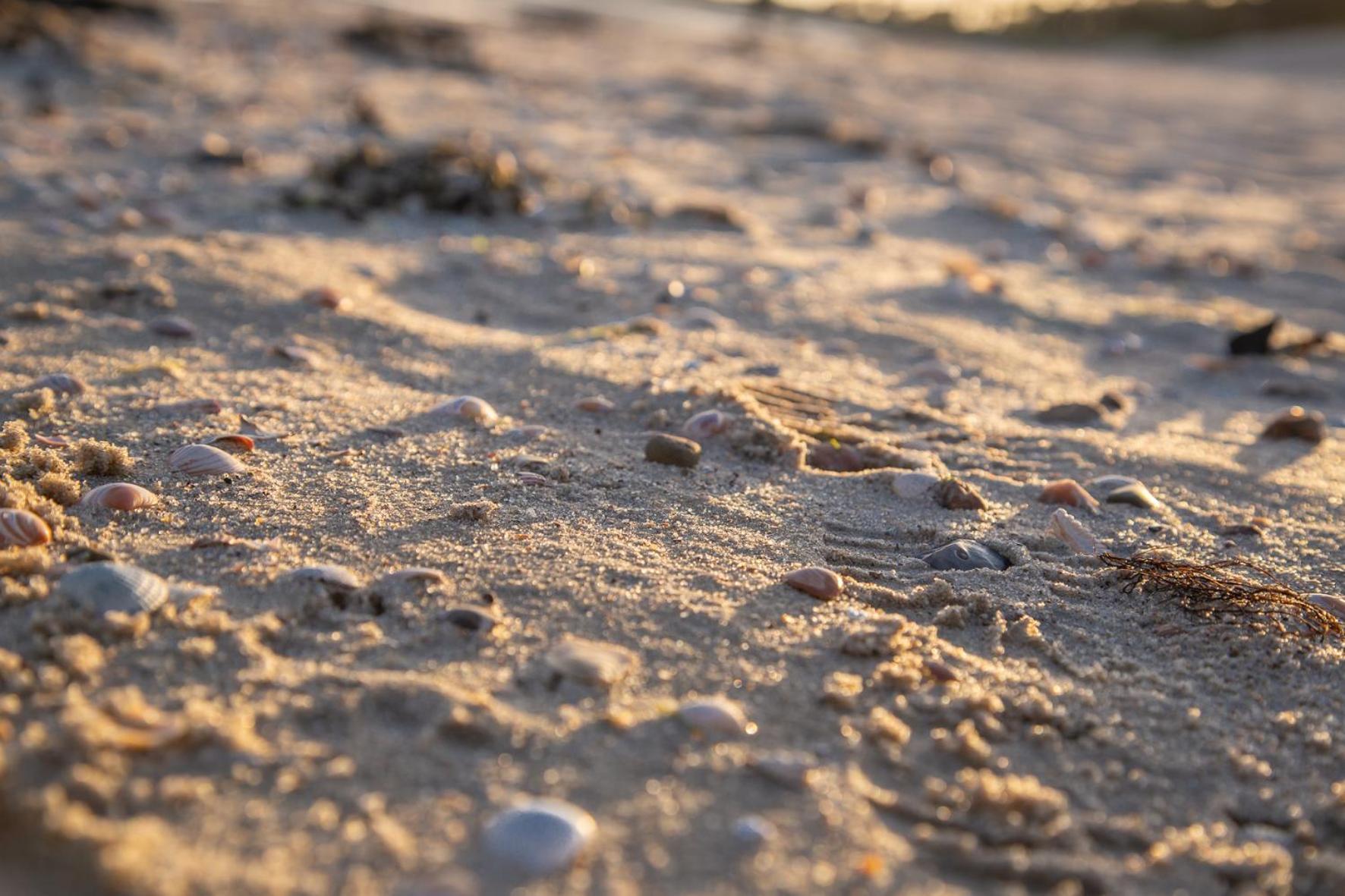 Wohnen Am Suedstrand - Ferienwohnung 1 1 Wyk auf Föhr Eksteriør billede
